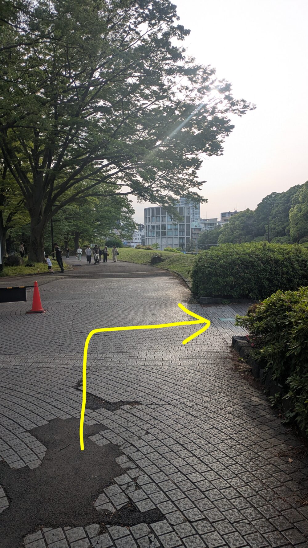 ②700ｍほど歩くと右側に階段が見えてくる。階段を降りる。
